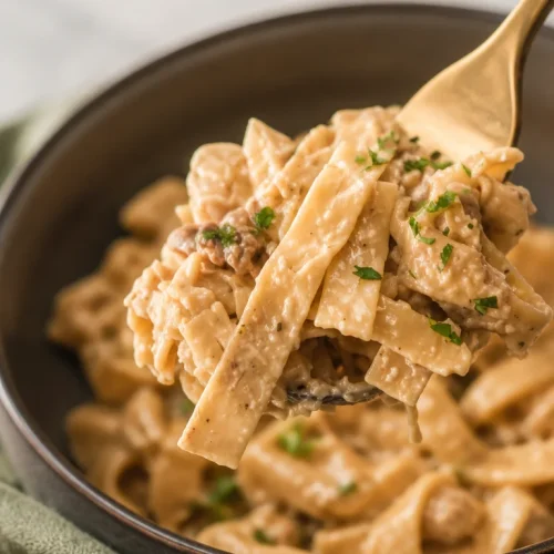 Crock Pot Beef and Noodles dish made with 5 simple ingredients